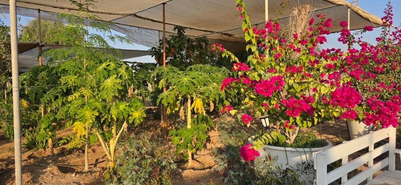 Alojamento de Turismo Rural Nmy Farm1