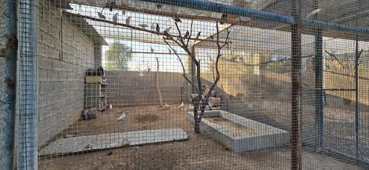 Alojamento de Turismo Rural Nmy Farm1 Ras al-Khaimah